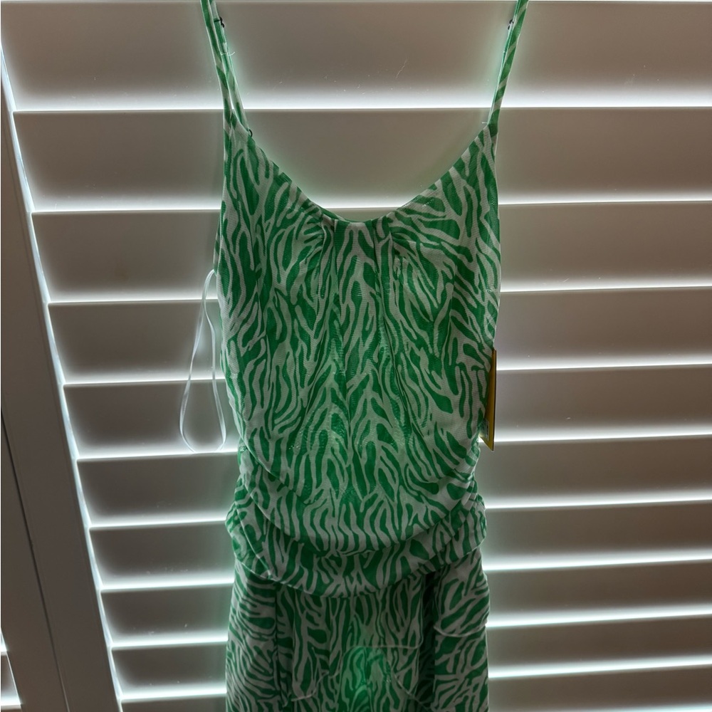 Diane Von Furstenberg Target Collaboration Green Zebra Print Dress